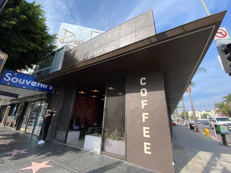 Intelligentsia_v60